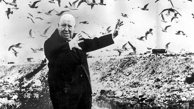Hitchcock the Birds Logo - Science writes a sequel to Alfred Hitchcock's 'The Birds'