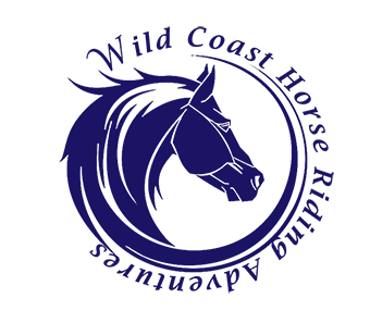 River Horse Logo - Horse Riding trail on the Wild Coast
