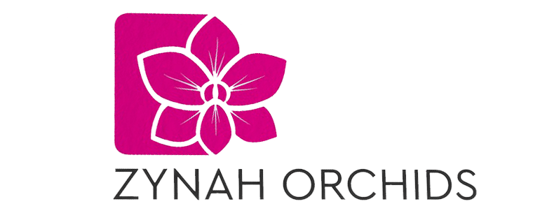 Orchid Flower Logo - Dendrobium French Rose Orchid Online Purchase