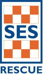 Ses Logo - SES 132500