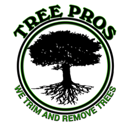 10 Tree Logo - THE BEST 10 Tree Services in Phoenix, AZ Updated February