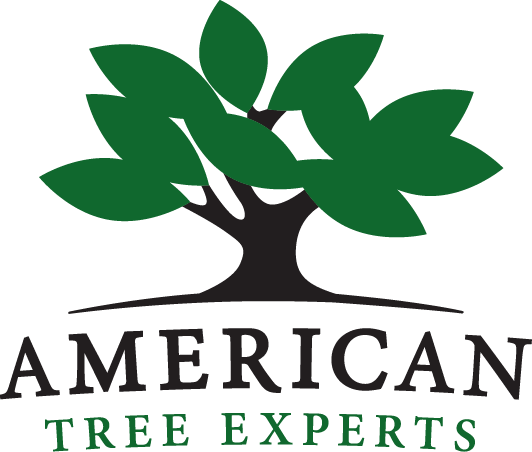 10 Tree Logo - Best Trees For Wisconsin Landscapes. American Tree Experts
