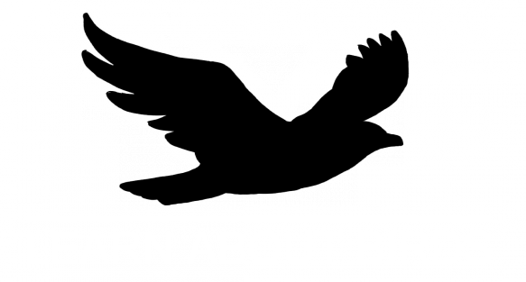 The Birds Logo - About Us | Learn About Birds