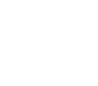 Taurus Car Logo - About Us Auto Detailing
