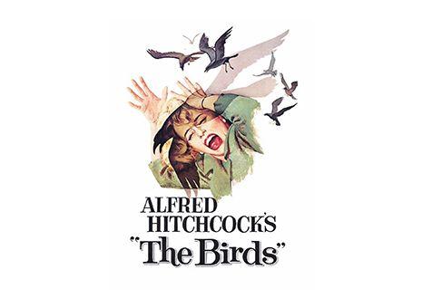 The Birds Logo - the-birds-logo-465x340 - Jean's Playhouse