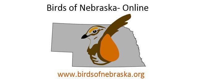 The Birds Movie Logo - movie logo • Nebraskaland Magazine