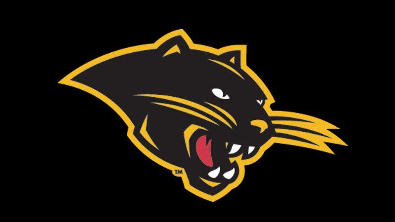 Gold and Black Panther Logo - Ohio Dominican