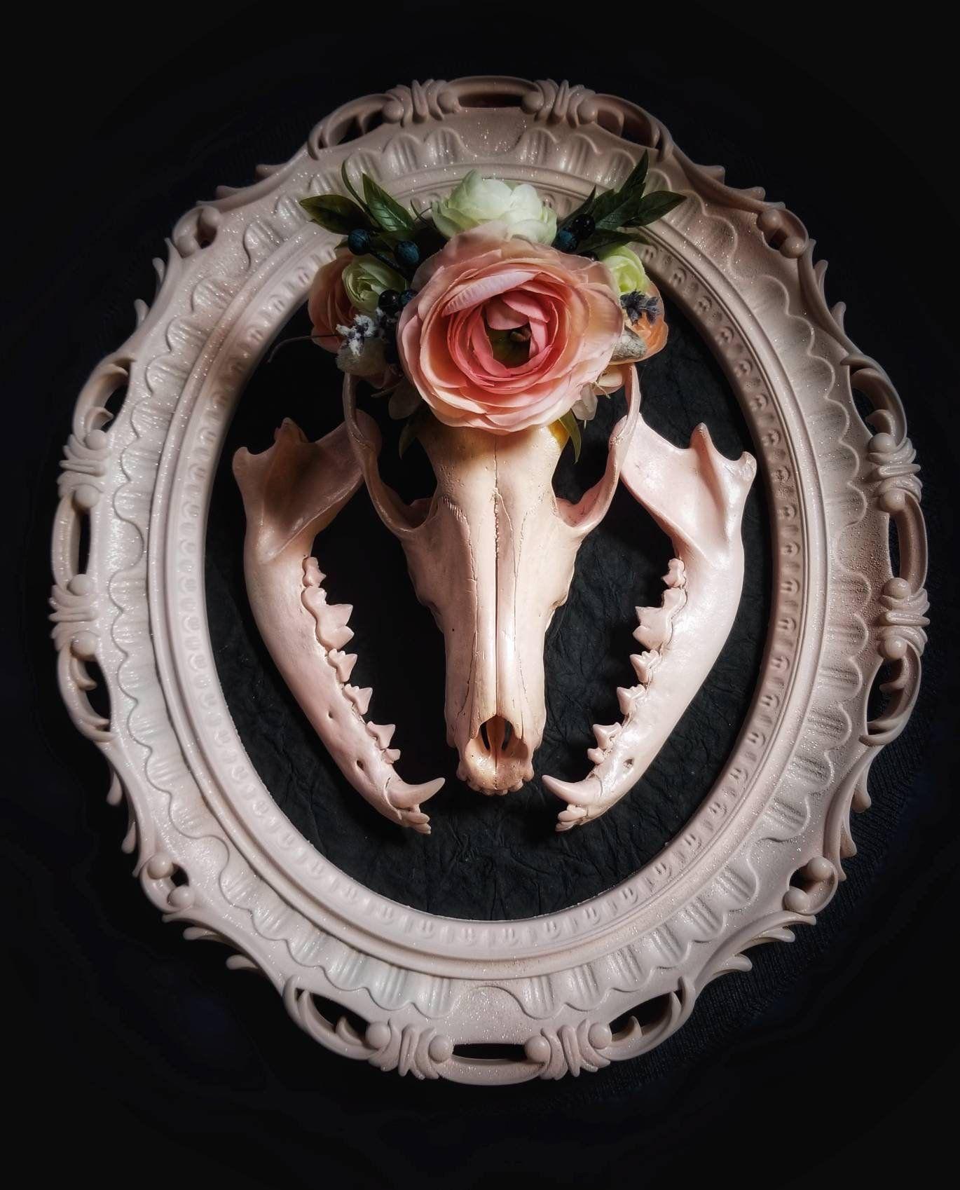 Goth Flower Logo - Real Animal Skull Display / Coyote Skull / Pink / Glitter / Real ...