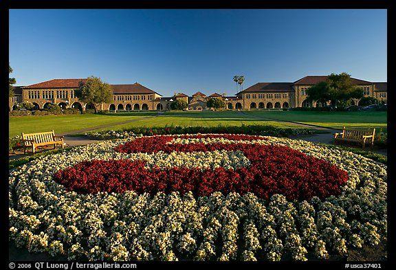 California Flower Logo - Picture/Photo: Stanford University S logo in flowers and main Quad ...