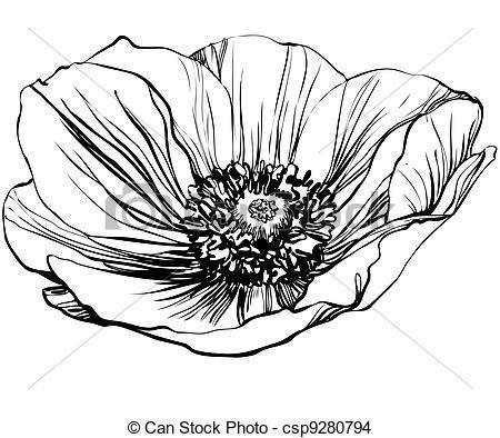 California Flower Logo - California Poppy Drawing | , stock clip art icon, stock clipart ...