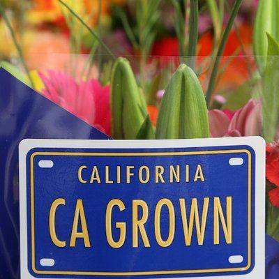 California Flower Logo - CA Grown Flowers on Twitter: 