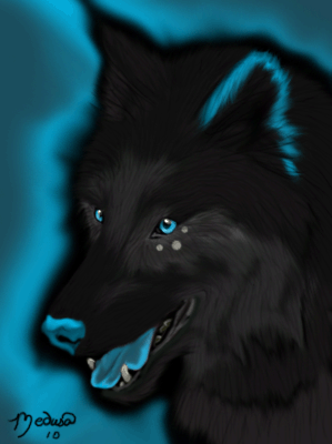 Black and Blue Wolf Logo - Black and Blue Wolf Fursonia