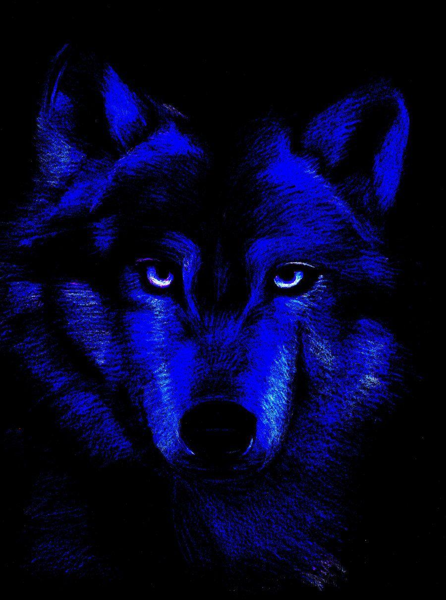 Black and Blue Wolf Logo - dark wolf. ✿ Indigo / Navy / Prusian / Midnight blue. Dark, Blue