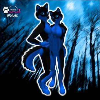 Black and Blue Wolf Logo - Second Life Marketplace Avatars Wolf Black Blue
