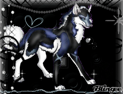 Black and Blue Wolf Logo - BLACK BLUE WOLF ANiiME Picture