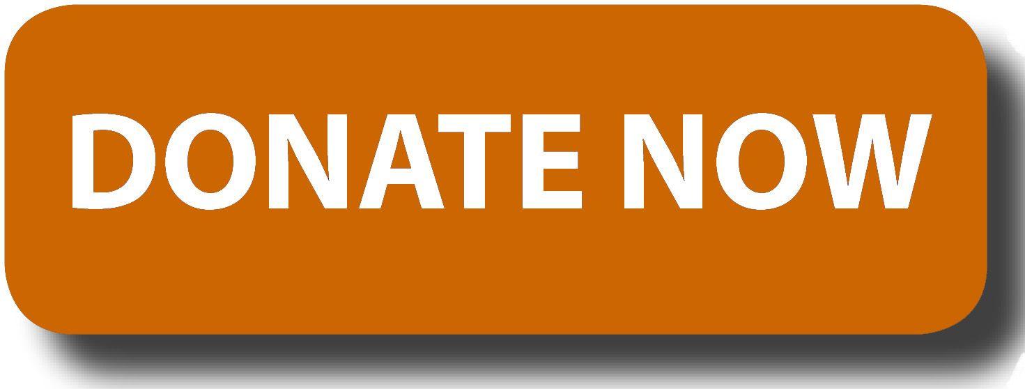 Donate Logo - donate-button-logo-blue-rectangle1 | Winter Wildlands Alliance