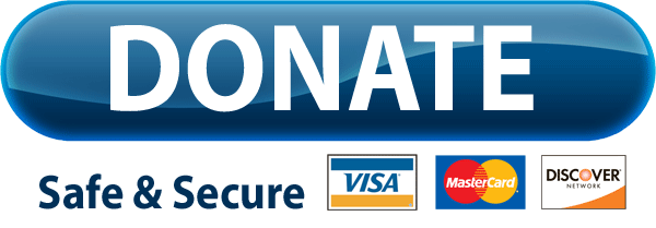 Donate Logo - PayPal Donate Button PNG Transparent Image