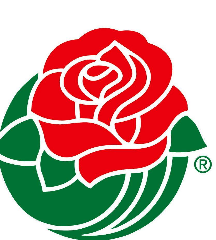 Famous Rose Logo - Logos with a rose as a symbol/mark - QBN
