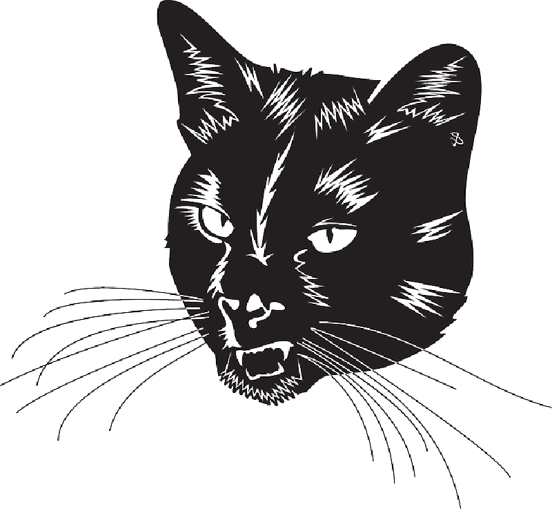 Black Cat Head Logo - Black Cat Head With Whiskers transparent PNG