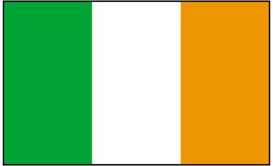 Irish Flag Logo - Ireland 2016 - Department of Education and Skills