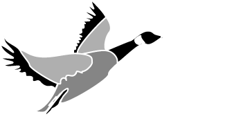 Geese Logo - Print – Grey Goose Graphics