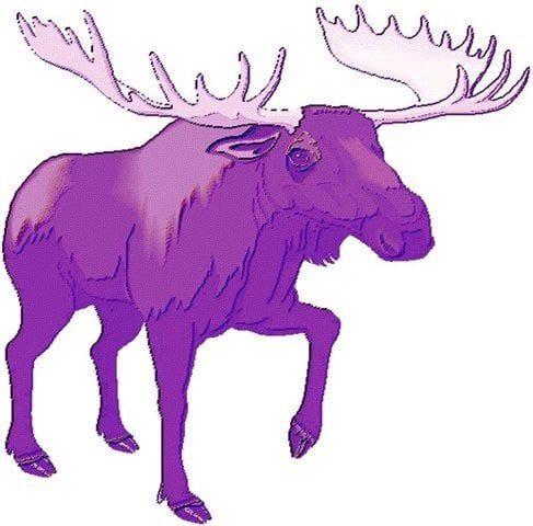 Purple Moose Logo - Purple Moose Enrichment Preschool - Elementary Schools - 3419 Walkup ...