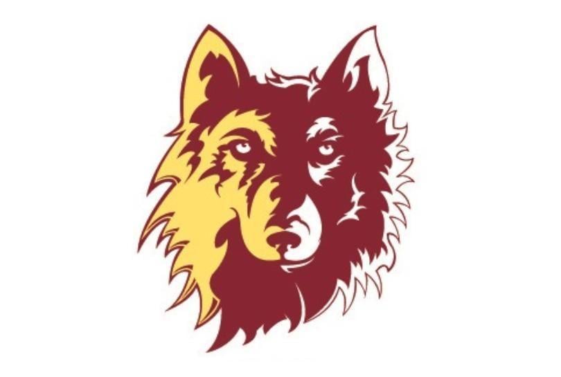 Red Wolves Sports Logo - Paula Krueger Named NSU Women's Basketball Coach