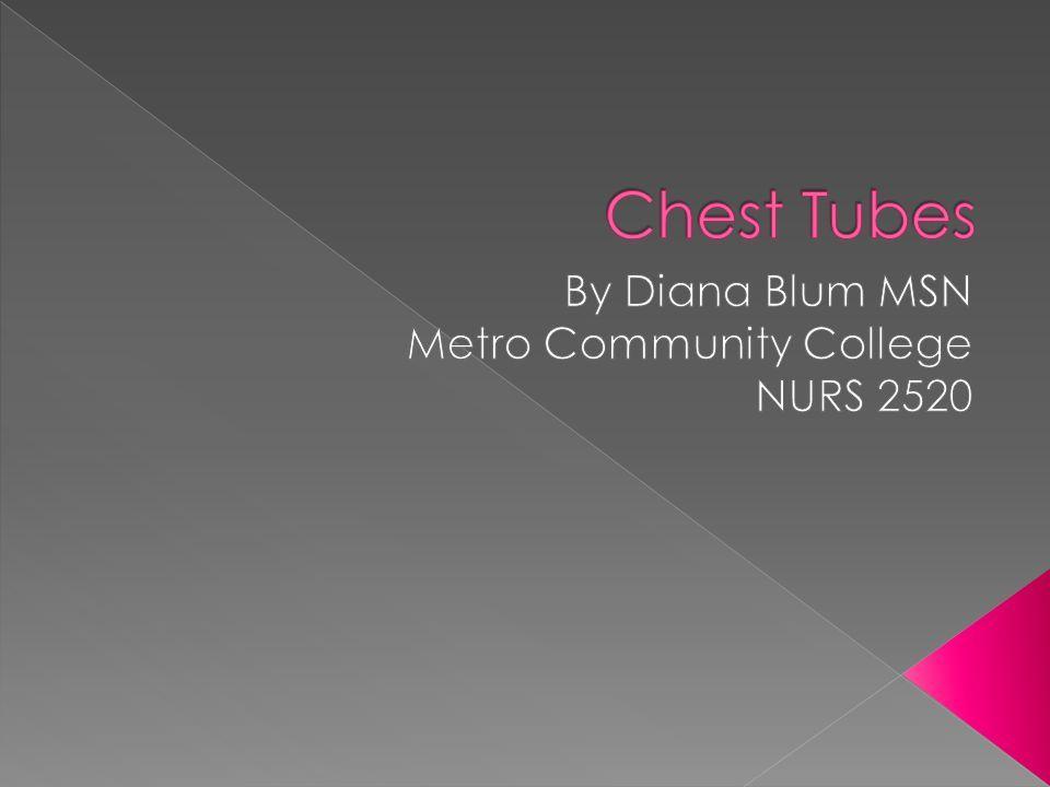 MSN Metro Logo - By Diana Blum MSN Metro Community College NURS ppt video online download