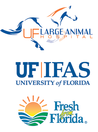 Horse Florida Logo - Hurricane Season Preparation for Florida Horse Farms » Large Animal ...