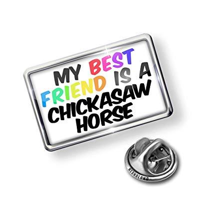 Horse Florida Logo - Amazon.com: NEONBLOND Pin My best Friend a Chickasaw Horse Florida ...