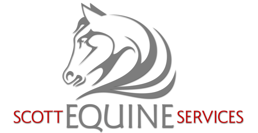 Horse Florida Logo - Scott Equine Services. Equine Veterinary Services