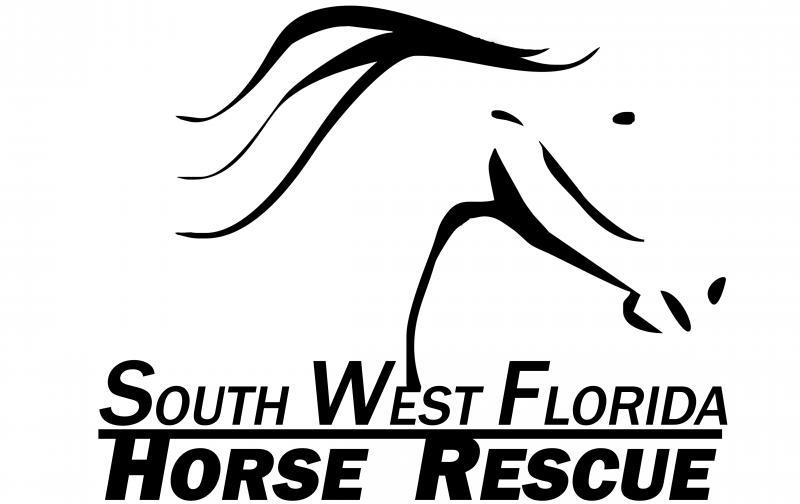 Horse Florida Logo - South West Florida Horse Rescue, Inc. nonprofit in Punta Gorda, FL ...