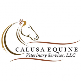 Horse Florida Logo - Calusa Equine Vet