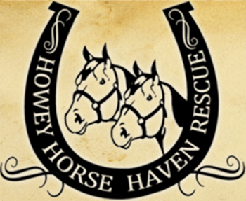 Horse Florida Logo - Howey Horse Haven Rescue in the Hills, Florida