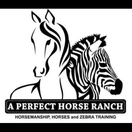 Horse Florida Logo - Palm Beach County, Florida Horse Stables and Horse Farms Directory