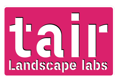 Tair Logo - TAIR | English translations in pink!!