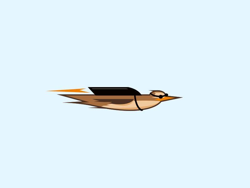 Fast Bird Logo - Bird Logo by Gareth Hardy | Dribbble | Dribbble