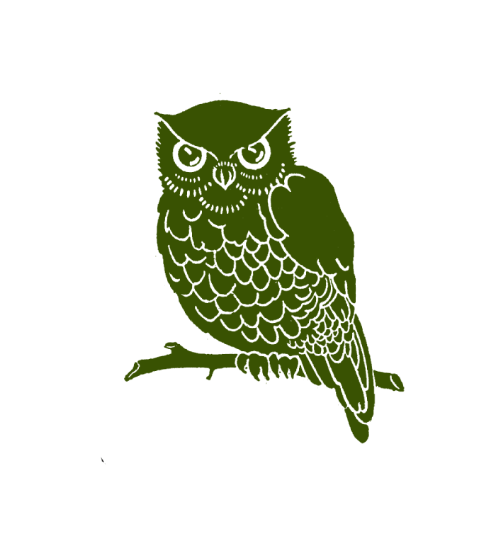 Green Owl Logo - Green Owl Refabbed