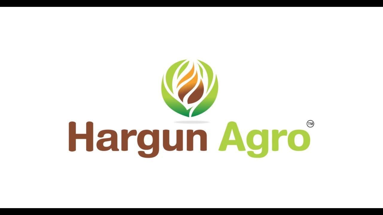 Agro Logo - Hargun Agro logo animation (4K) - YouTube