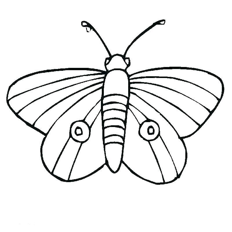 4 Color Butterfly Logo - butterfly wings coloring pages