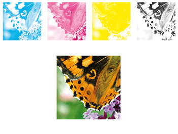 4 Color Butterfly Logo - Printing Lingo: What Is 4 Color Process Printing?