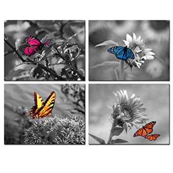 4 Color Butterfly Logo - Biuteawal Panel Art Wall Decor Color Butterfly