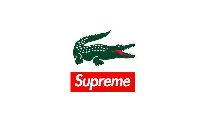 Supreme Collab Logo - Supreme Shuts Down Lacoste Collaboration Rumors – DrillKing