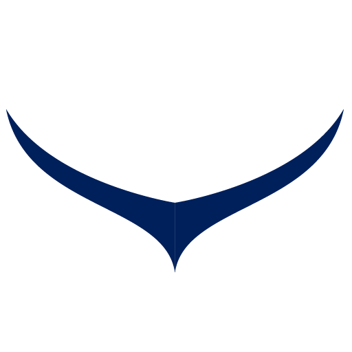 Blue Condor Logo - Richmond Hill Condo Security Guard | Security Services & Training ...