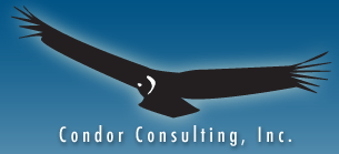 Blue Condor Logo - Welcome to Condor Consulting