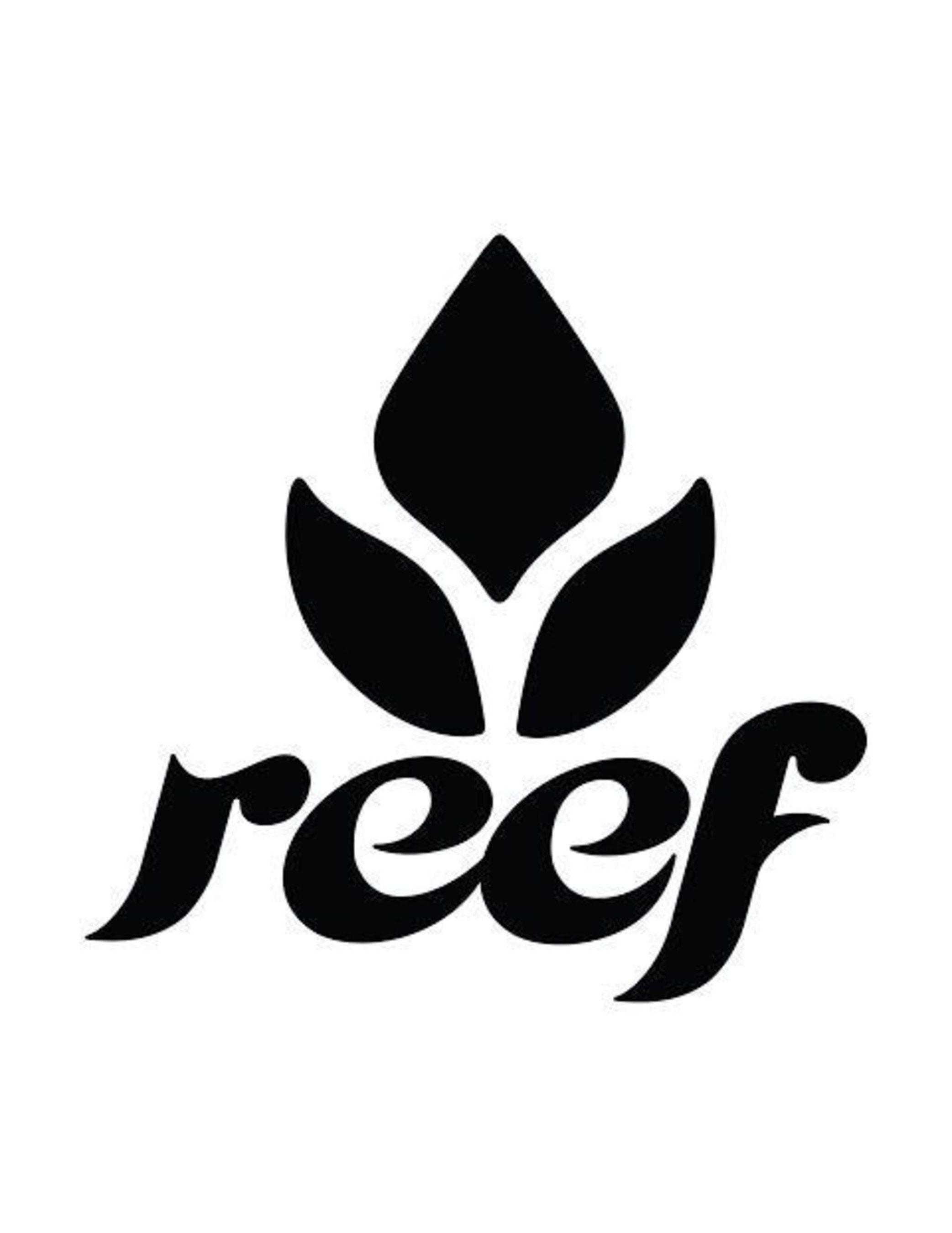 Reef Logo - Hailee Steinfeld Announced as New Face of REEF® Escape SS17