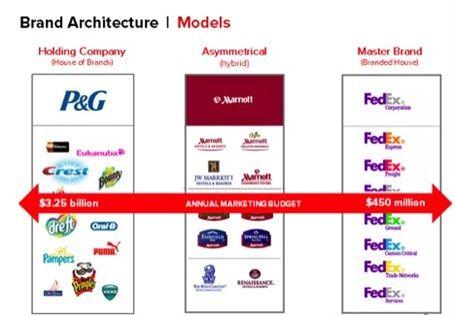 Procter and Gamble Brand Logo - Brand Architecture Models: Procter & Gamble | BrandingBusiness