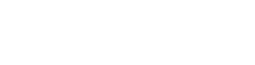 Silver PayPal Logo - Fixed Gear Bike Shop