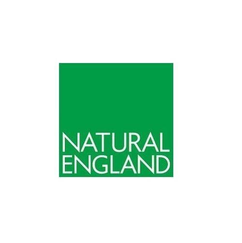 NE Logo - ne-logo-with-border2 | CSA environmental