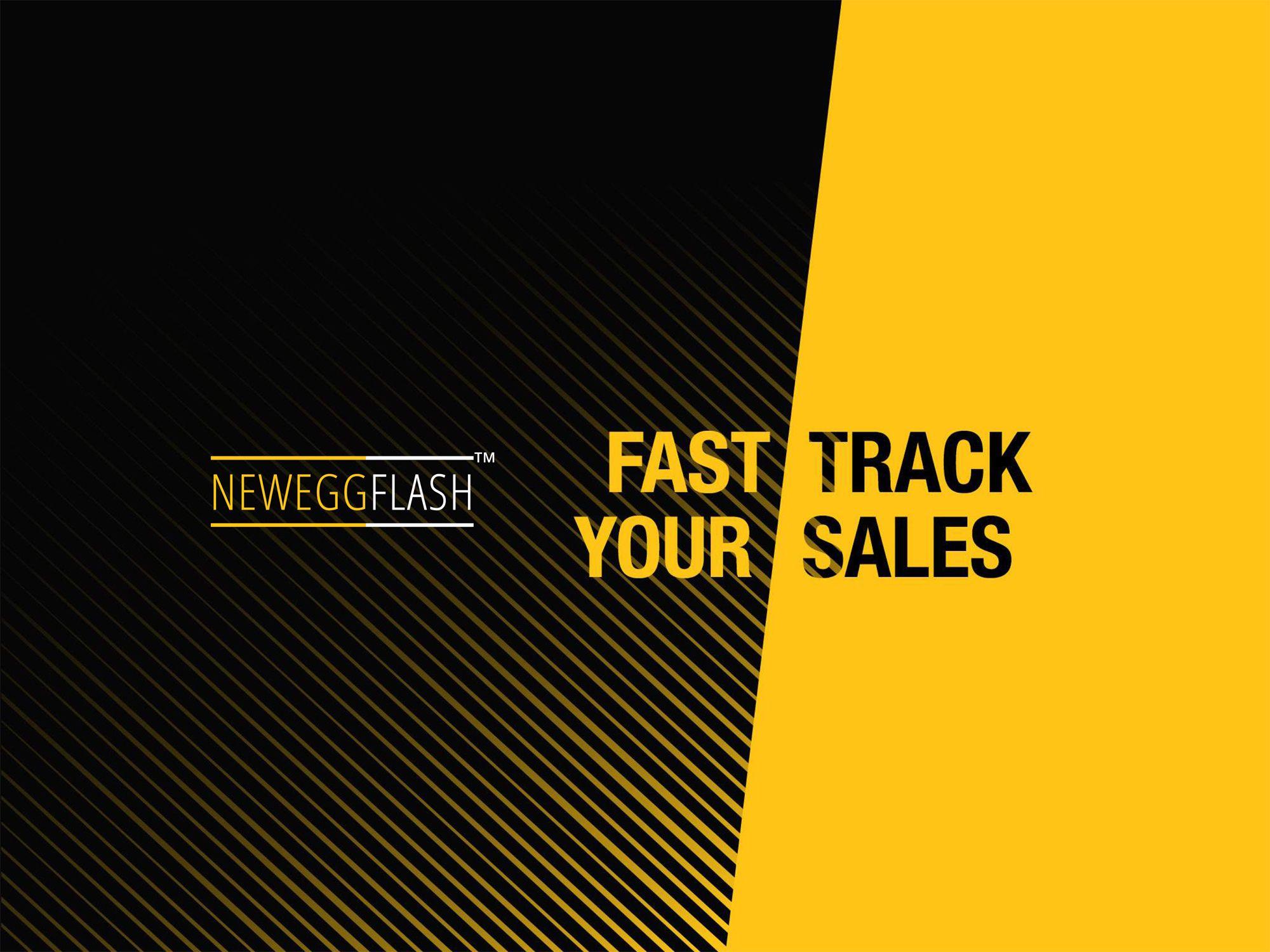 Newegg Flash Logo - Marketing Packages - Newegg Marketplace